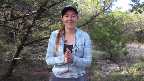 DIY dust collection cart for your workshop
