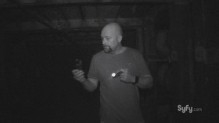 The Itsy Bitsy Spider