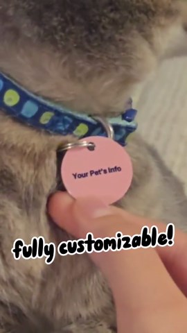 Toad Pet Id Tag for Dogs and Cats or Keychain | Personalized - Etsy