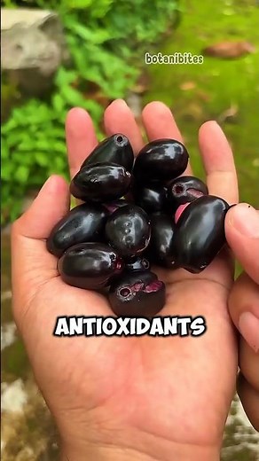This Rare Fruit Turns Your Tongue Purple — Jamun! | Fruit Facts