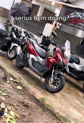 Sepele Mass Event Highlights and Insights