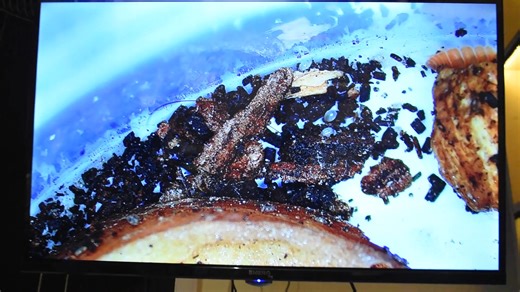 2.9K views | New setup in showroom 拾 | MicB Scientific | Facebook