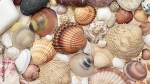 Sea shells, snails and pebbles of different sizes, shapes and colors on the brown wooden background. Top view. Close-up. Tracking shot. Stock Video