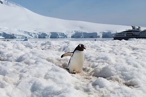 You Can Win a Free 12-day Cruise to Antarctica—With a Plus One, Airfare, Excursions, and More