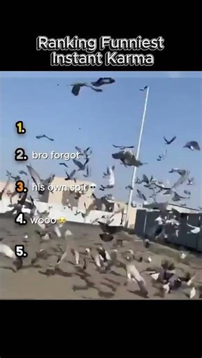 When Instant Karma Is Too Funny to Ignore 🤣