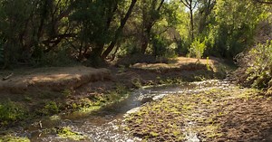 New water flowing in the Santa Cruz River