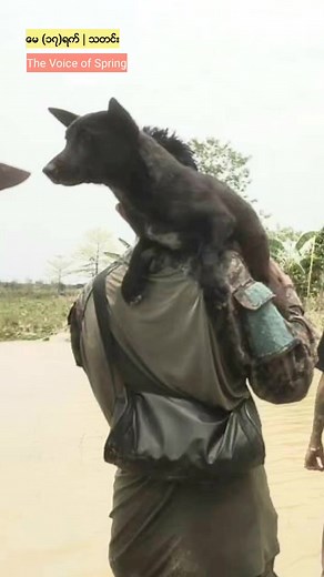 The Voice Of Spring on Reels