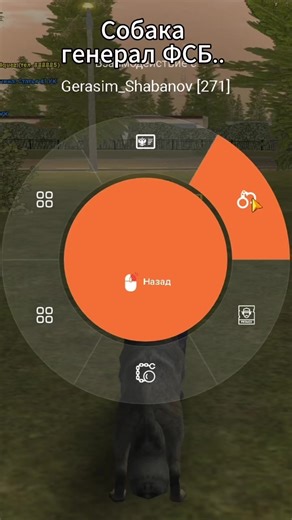 Собака ФСБ: Задержание в GTA