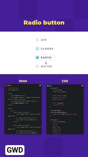 Radio input #coding #javascript #html #css #programming #python #webdesign #shorts #viralvideo
