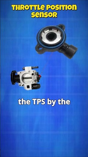 Throttle position sensor