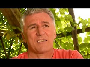 ŽELJKO GOLIK - Ne dam ruži da procvjeta