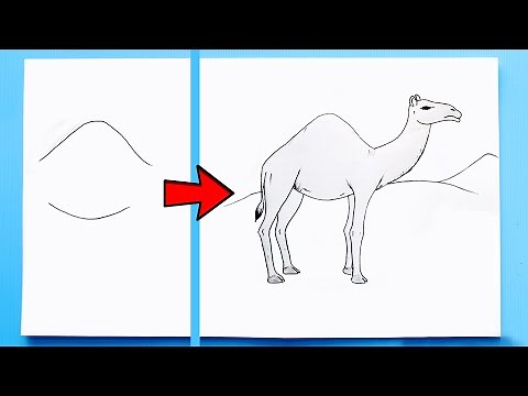 How to Draw a Camel easy Step by Step | Easy Camel Drawing 🐪