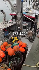 🌊 Join me on another adventure at sea! Today we're hunting for the prized Alaskan Black Cod, straight from the pristine waters of the Pacific. As a commercial fisherman, every day brings new challenges and rewards. Can't wait to show you what we catch! 🎣 #commercialfishing #alaskanseafood #sustainable #misoblackcod #fishermanlife #oceantotable | Alaskan Salmon Company