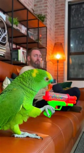 Parrot Sets Off Fireworks and Chaos Erupts! #ParrotChaos #FireworksGoneWrong #AnimalFails #ViralPets #FunnyBirds