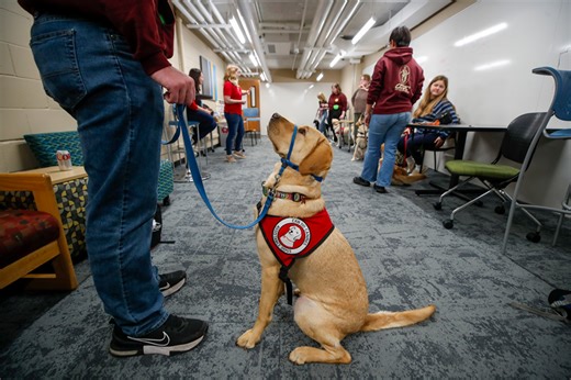 FETCH program combines service dog training with hands-on learning