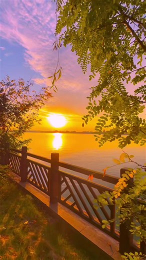 #france #paris 🇫🇷🇫🇷🇫🇷 🇫🇷 #tunisie #mednine 🇹🇳🇹🇳🇹🇳 #abonne explorer 😍😍😍🥰🥰🥰✌️✌️✌️@Cheb Salih