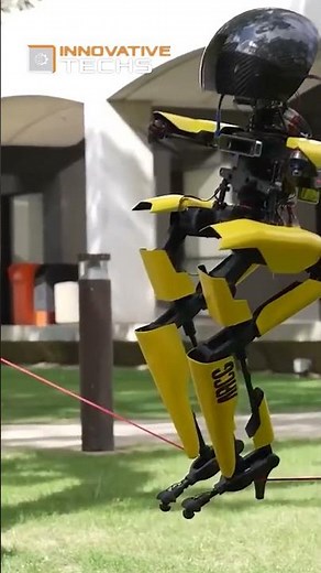 ROBOT WIRE WALKER WITH WINGS