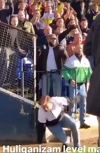 Barrier aggression is an issue I see lots in dogs and it appears in humans too 😂😂😂 I shared a video of dogs arguing through a gate but when it opened they all walked away! Here is the human version! 😂🤦‍♀️ | Impackt Behaviour