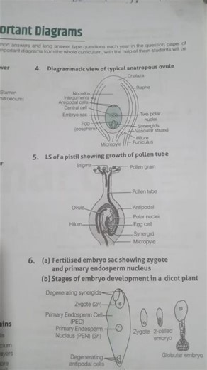 complete biology diagram of class 12 #biology ##viralvideo