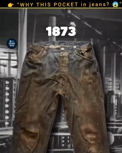 Why Do Jeans Have a Tiny Pocket? 🤔 #facts #viralvideo #trending