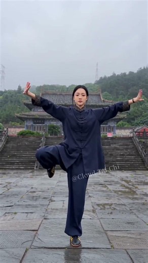 🎁 The best thing you can do for tomorrow? A little tai chi today.#taichi #health #exercise