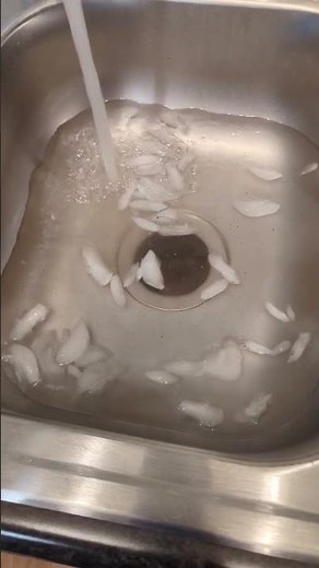 How to clean a garbage disposal with ice