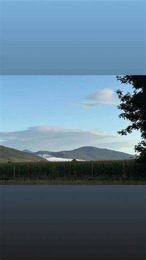 36 reactions · 3 comments | Bonne journée à tous. | Marc Claus | Facebook