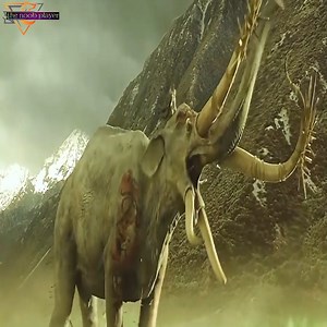 Action Movies 2022 - New Action Movies Full Movie English | Wake Up Energy