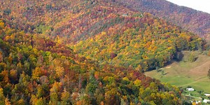 People flock to Great Smoky Mountains National Park for fall colors