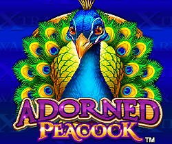 Play Free Adorned Peacock Konami Slot   Game Guide