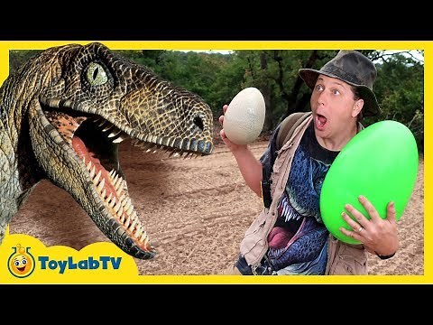 Park Ranger Takes Dinosaur Egg! Raptors Chase Aaron on Surprise Eggs Toy Hunt, Family Fun Kids Toys