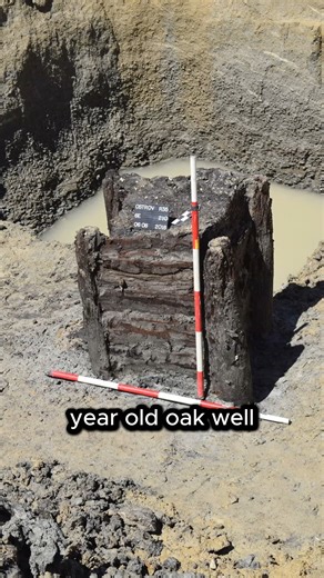 170K views · 1.6K reactions | This Neolithic water well predates agriculture, yet shows advanced woodworking skills. It suggests early humans mastered engineering before permanent settlements. ⚡ Stick around — more ancient secrets coming. #ancientmysteries #history #archaeology #prehistoric #latenighttop5 | Late Night Top 5 | Facebook