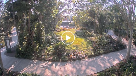 Naples Botanical Garden Cam