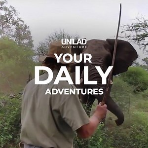 5.9M views · 10K reactions | These encounters are a reminder that we all need our own space... including the animals! | UNILAD Adventure | Facebook