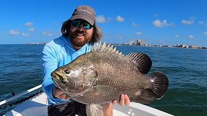 90K views · 1.7K reactions | It's tripletail and cobia time!! For more awesome saltwater fishing tips go to https://www.saltstrong.com/fishing-tips/ | Salt Strong | Facebook