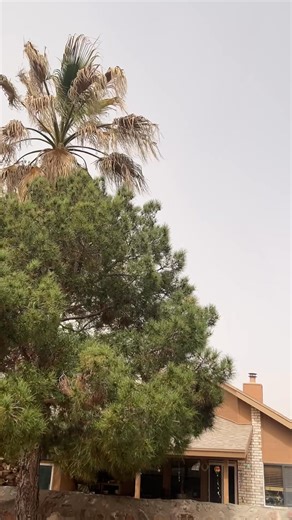 The nasty weather is back with the winds and gusts 💨 mostly lasting all day. Send us your weather photos/videos here https://kfoxtv.com/chimein | KFOX-TV