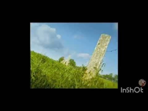 The Epicness of Ytp Short - minussunim