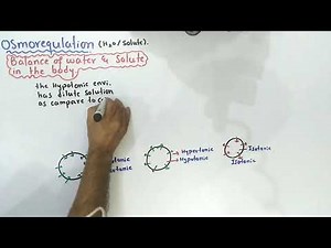 Tonicity | Difference Between Hypotonic, Hypertonic And Isotonic | Class 12 Biology
