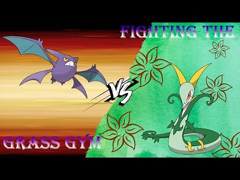 Pixelmon on the Complex Server - Taking on the Grass Gym and Fire Gym Suggested team