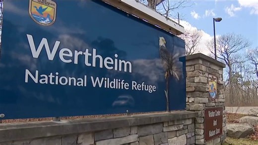 Teen rescued after being stuck in mud at Long Island wildlife refuge