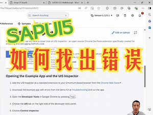 SAP官方Troubleshooting：Step 5 UI5 Inspector