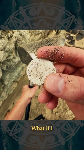 Old Mystery Coin | Minelab X-Terra Elite