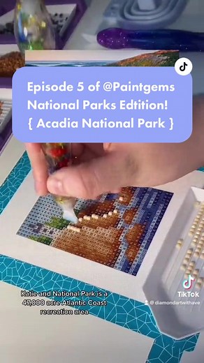 Episode 5 of @paintgem National Parks Edtition! { Acadia National Park } HAD TO REPOST SORRY!! #diamondartwithave #nationalpark #paintgem #acadianationalpark