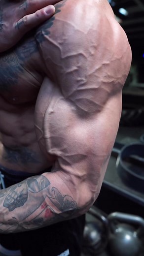 Muscle Man Tattoo: Shoulder Veins and Bodybuilder Gym Vibes