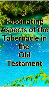 The Tabernacle in the Old Testament is a fascinating symbol of God's presence among his people, intricately designed and filled with symbolic elements that reflect the holiness and worship of the Israelites. | Naturally Moi