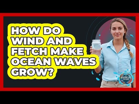 How Do Wind And Fetch Make Ocean Waves Grow?