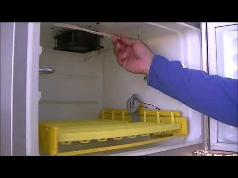 Incubadora casera fácil y rápido