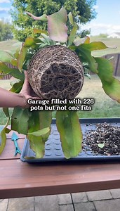 402K views · 7.7K reactions | Why do I have so many pots yet none...