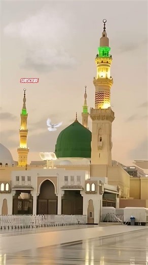 #newnaat #2026 #love #islamicstoriesinurduandhindi #beautiful #reelschallenge #lovelove #answer