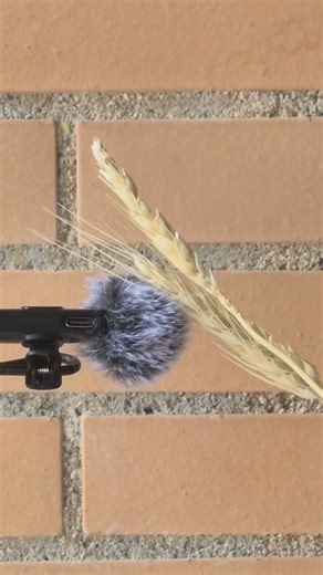 🎧 ASMR 26 – Close mic triggers